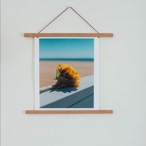 “Sun Searcher” - 11x14 Wall Art Print